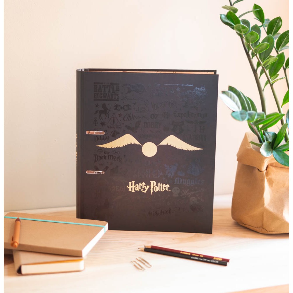 Raccoglitore Premium Boccino d'Oro Harry Potter
