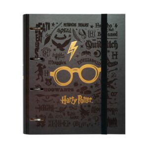 Raccoglitore Premium Occhiali e Cicatrice – Harry Potter